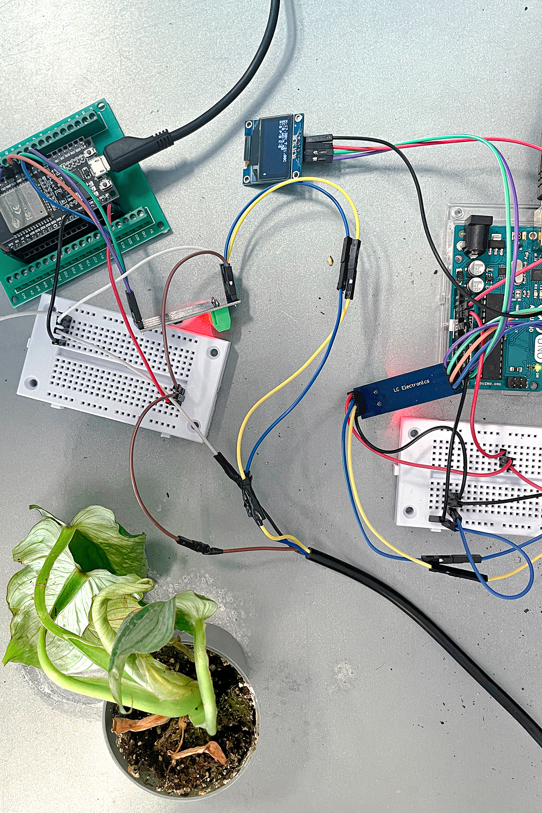 https://cms.bureau1217.ch/media/pages/projects/omi/a9233aa71e-1772617511/omi-slider-preview-12-1280x.png